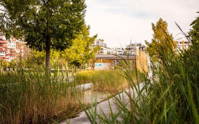 City Nature – Ausstellung Stadtentwicklung und Naturschutz